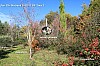 IMG_2439b