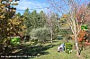 MG_2441