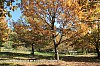 IMG_2453