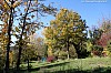 IMG_2465