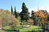 IMG_2469