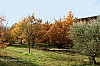 IMG_2514