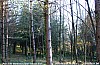 MG_2528