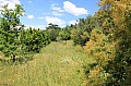 img_7373