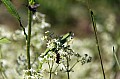 img_7406
