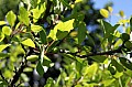 img_7408