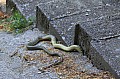 img_7492