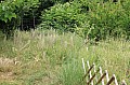 img_7540
