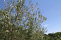 img_7551
