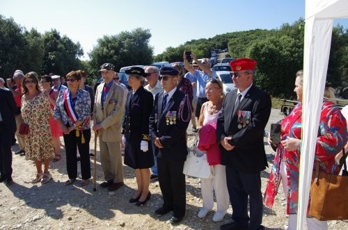 participants