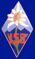 insigne 159e RIA
