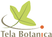 logo Tela botanica
